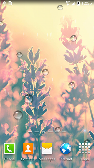 Fondos de pantalla animados a Autumn flowers para Android. Descarga gratuita fondos de pantalla animados Flores del otoño.