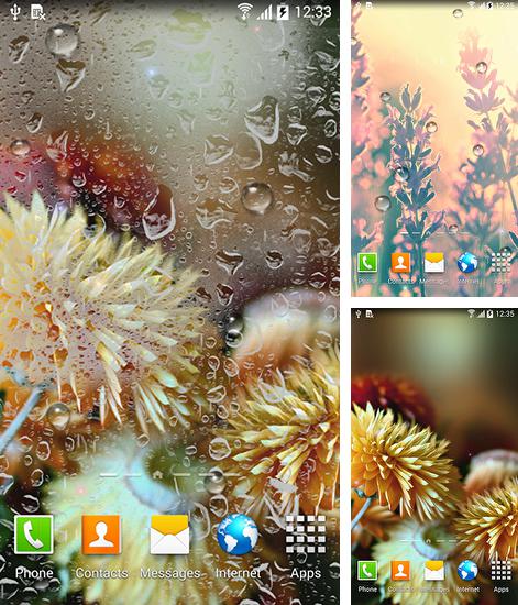 Además de fondo de pantalla animados Montaña roja para teléfonos y tabletas Android, también puedes descargarte gratis Autumn flowers.