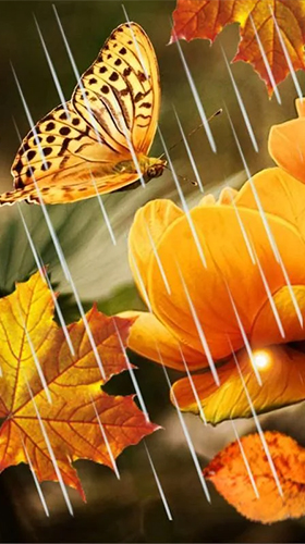 Autumn flowers by SweetMood - бесплатно скачать живые обои на Андроид телефон или планшет.