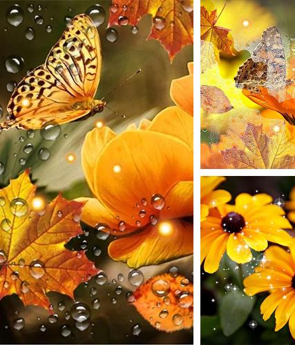 Download live wallpaper Autumn flowers by SweetMood for Android. Get full version of Android apk livewallpaper Autumn flowers by SweetMood for tablet and phone.