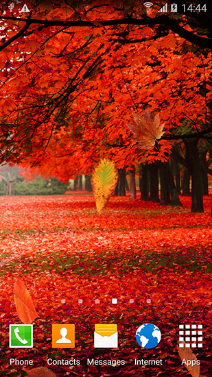 Autumn forest - бесплатно скачать живые обои на Андроид телефон или планшет.