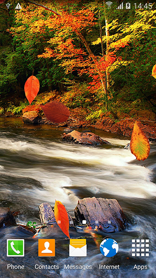 Autumn forest für Android spielen. Live Wallpaper Herbstwald kostenloser Download.