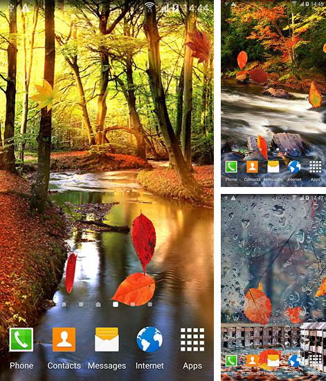 Kostenloses Android-Live Wallpaper Herbstwald. Vollversion der Android-apk-App Autumn forest für Tablets und Telefone.