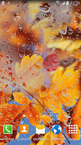 Autumn HD by BlackBird Wallpapers - безкоштовно скачати живі шпалери на Андроїд телефон або планшет.