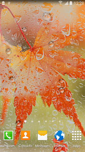 Autumn HD by BlackBird Wallpapers - скачать бесплатно живые обои для Андроид на рабочий стол.