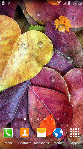 Скриншот Autumn HD by BlackBird Wallpapers. Скачать живые обои на Андроид планшеты и телефоны.