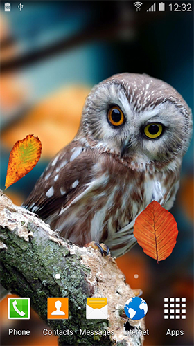 Autumn HD by BlackBird Wallpapers - скріншот живих шпалер для Android.