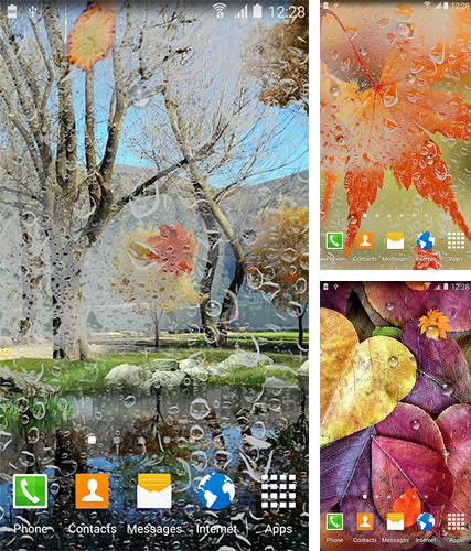 Kostenloses Android-Live Wallpaper Herbst HD. Vollversion der Android-apk-App Autumn HD by BlackBird Wallpapers für Tablets und Telefone.