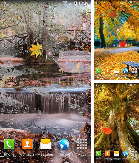 Kostenloses Android-Live Wallpaper Herbstlandschaft. Vollversion der Android-apk-App Autumn landscape für Tablets und Telefone.