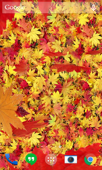 Autumn Leaves für Android spielen. Live Wallpaper Herbstlaub kostenloser Download.