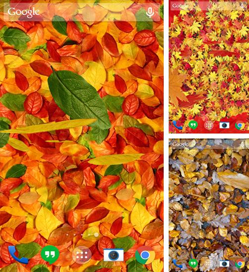 Дополнительно к живым обоям на Андроид телефоны и планшеты Cад Дзен, вы можете также бесплатно скачать заставку Autumn Leaves.