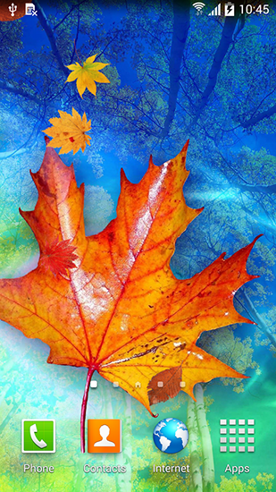 Descargar Autumn leaves para Android gratis. El fondo de pantalla animados  Hojas de otoño en Android.