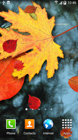 Скріншот Autumn leaves. Скачати живі шпалери на Андроїд планшети і телефони.