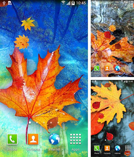 Kostenloses Android-Live Wallpaper Herbstlaub. Vollversion der Android-apk-App Autumn leaves für Tablets und Telefone.