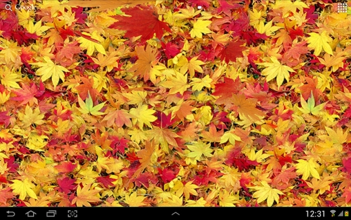 Autumn leaves 3D - безкоштовно скачати живі шпалери на Андроїд телефон або планшет.