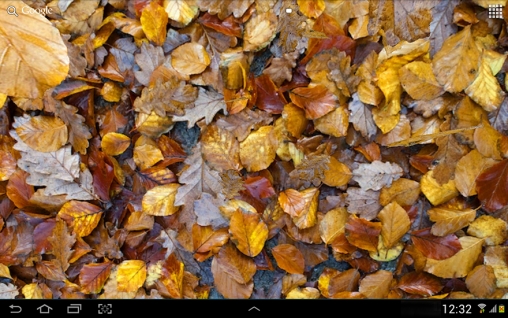 Papeis de parede animados Folhas de outono 3D para Android. Papeis de parede animados Autumn leaves 3D para download gratuito.