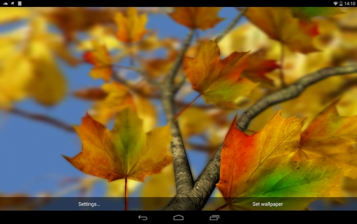 Autumn leaves 3D by Alexander Kettler live wallpaper for Android. Autumn  leaves 3D by Alexander Kettler free download for tablet and phone.