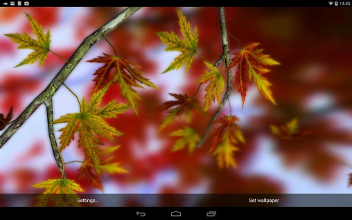 Autumn leaves 3D by Alexander Kettler - скачать бесплатно живые обои для Андроид на рабочий стол.