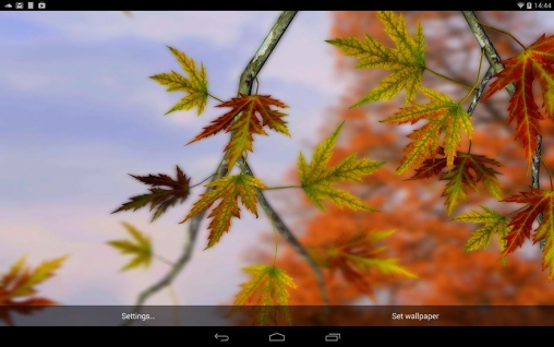 Скриншот Autumn leaves 3D by Alexander Kettler. Скачать живые обои на Андроид планшеты и телефоны.