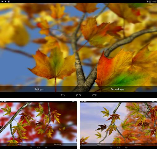 Zusätzlich zum Live Wallpaper Animierter Regen für Android Mobiltelefone und Tablets, können Sie auch Autumn leaves 3D by Alexander Kettler, Herbstblätter kostenlos herunterladen.