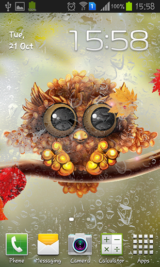 Télécharger le fond d'écran animé gratuit Petit hibou d'automne . Obtenir la version complète app apk Android Autumn little owl pour tablette et téléphone.