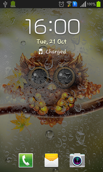 Écrans de Autumn little owl pour tablette et téléphone Android.