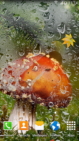Fondos de pantalla animados a Autumn mushrooms para Android. Descarga gratuita fondos de pantalla animados Setas de otoño.
