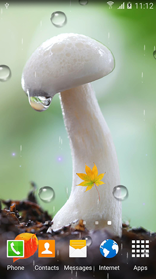 Autumn mushrooms - скріншот живих шпалер для Android.