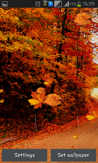 Autumn rain für Android spielen. Live Wallpaper Herbstregen kostenloser Download.