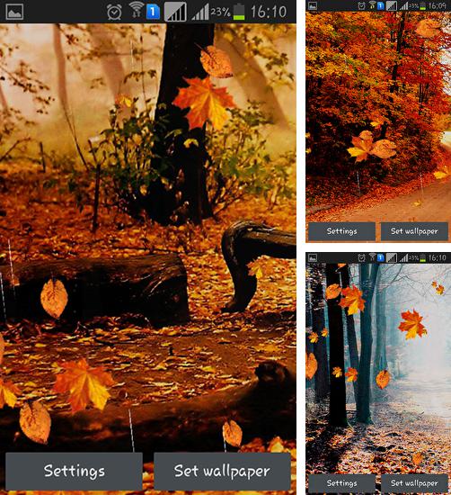 In addition to live wallpaper Andromeda for Android phones and tablets, you can also download Autumn rain for free.