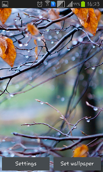 Autumn raindrops - бесплатно скачать живые обои на Андроид телефон или планшет.