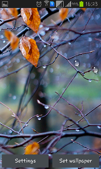 Autumn raindrops für Android spielen. Live Wallpaper Herbstliche Regentropfen kostenloser Download.