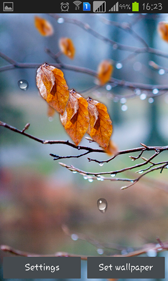 Скріншот Autumn raindrops. Скачати живі шпалери на Андроїд планшети і телефони.