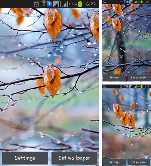 Kostenloses Android-Live Wallpaper Herbstliche Regentropfen. Vollversion der Android-apk-App Autumn raindrops für Tablets und Telefone.