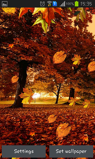 Screenshots of the Autumn streets for Android tablet, phone.