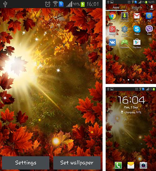 Додатково до живої шпалери Прапор моєї країни для Android телефонів та планшетів, Ви можете також безкоштовно скачати Autumn sun.