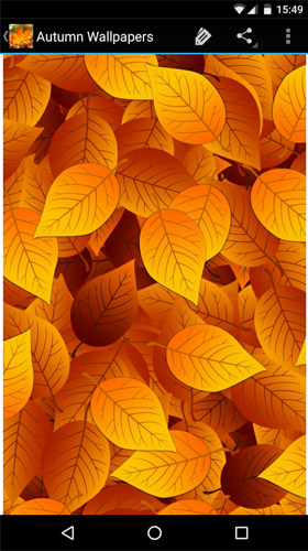 Screenshots do Papel de parede de outono para tablet e celular Android.