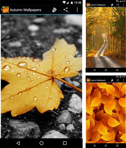 Kostenloses Android-Live Wallpaper Herbst. Vollversion der Android-apk-App Autumn wallpapers by Infinity für Tablets und Telefone.