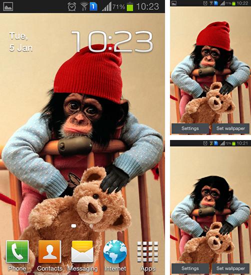 Дополнительно к живым обоям на Андроид телефоны и планшеты Блоки, вы можете также бесплатно скачать заставку Baby monkey.