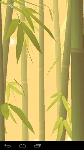 Écrans de Bamboo forest pour tablette et téléphone Android.