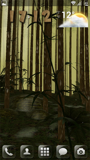 Screenshots of the Bamboo grove 3D for Android tablet, phone.