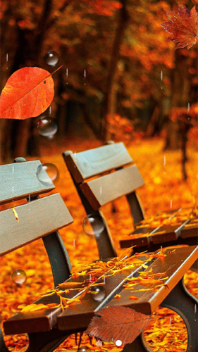 Beautiful autumn - скачать бесплатно живые обои для Андроид на рабочий стол.