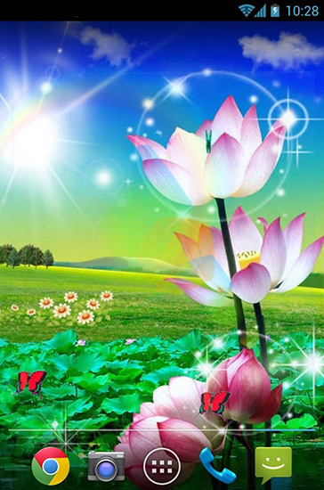 Papeis de parede animados Lótus bonito para Android. Papeis de parede animados Beautiful lotus para download gratuito.