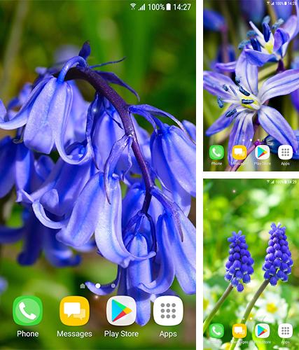 Kostenloses Android-Live Wallpaper Schöne Frühlingsblumen. Vollversion der Android-apk-App Beautiful spring flowers für Tablets und Telefone.