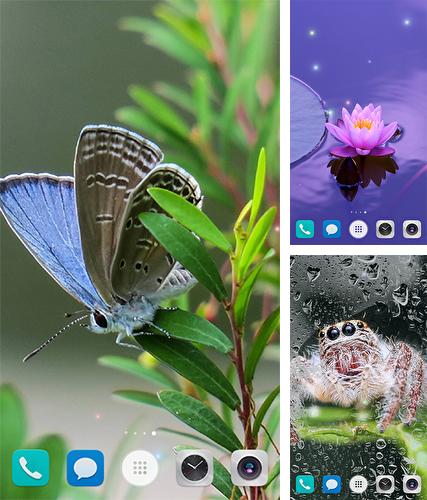 Descarga gratuita fondos de pantalla animados Verano hermoso para Android. Consigue la versión completa de la aplicación apk de Beautiful summer by BlackBird Wallpapers para tabletas y teléfonos Android.
