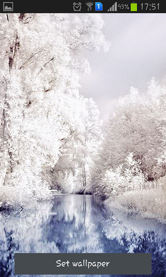 Screenshots of the Beautiful winter for Android tablet, phone.