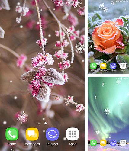 Descarga gratuita fondos de pantalla animados Hermoso invierno para Android. Consigue la versión completa de la aplicación apk de Beautiful winter by Amax LWPS para tabletas y teléfonos Android.
