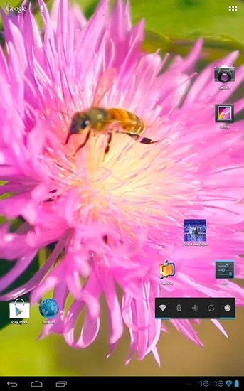 Téléchargement gratuit de Bee on a clover flower 3D pour Android.