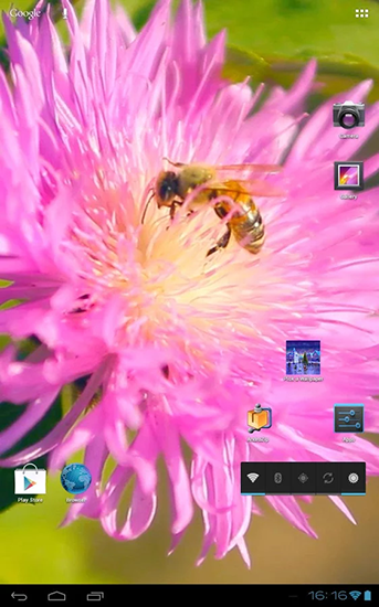 Écrans de Bee on a clover flower 3D pour tablette et téléphone Android.