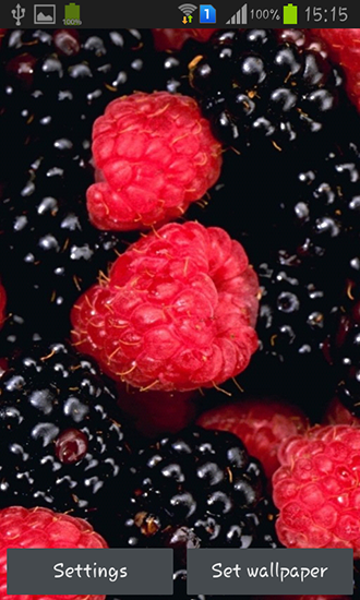 Berries - безкоштовно скачати живі шпалери на Андроїд телефон або планшет.